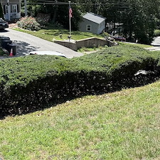 Overgrown-Hedge-PruningTrimming-Weeding-in-Coventry-RI 4